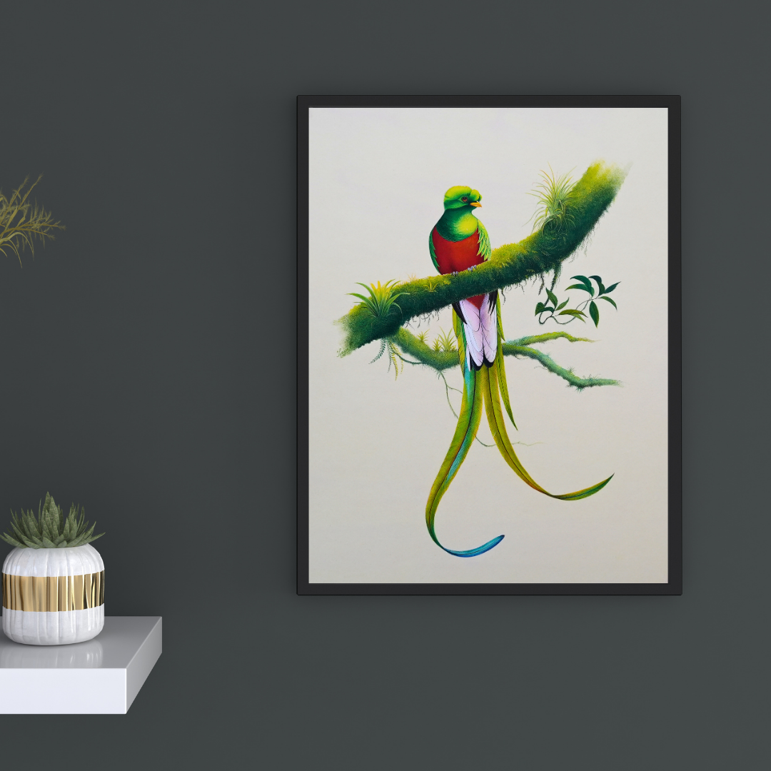 The Green Gaze Product Image