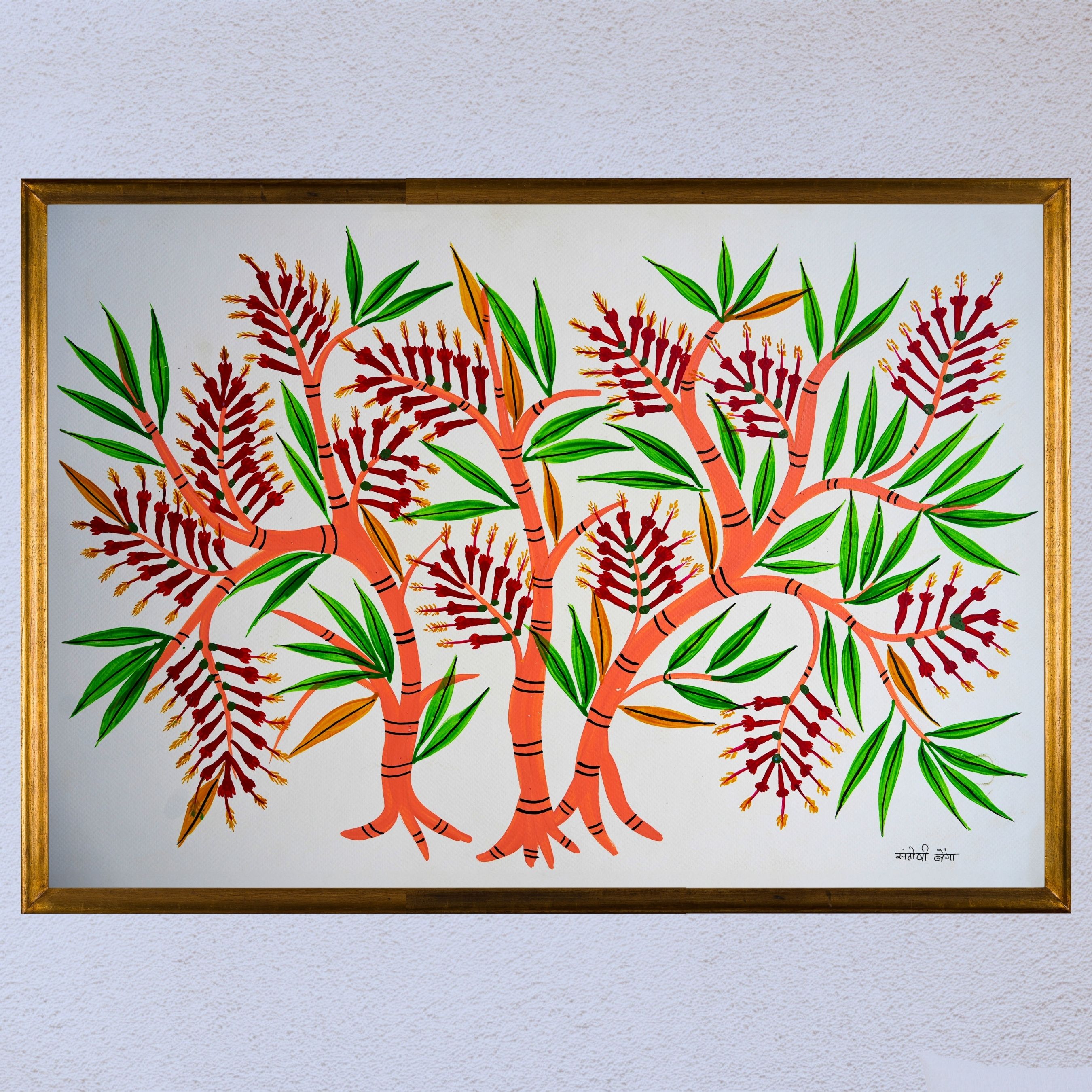 Phool Chuviyaa the Flowering Stick Tree