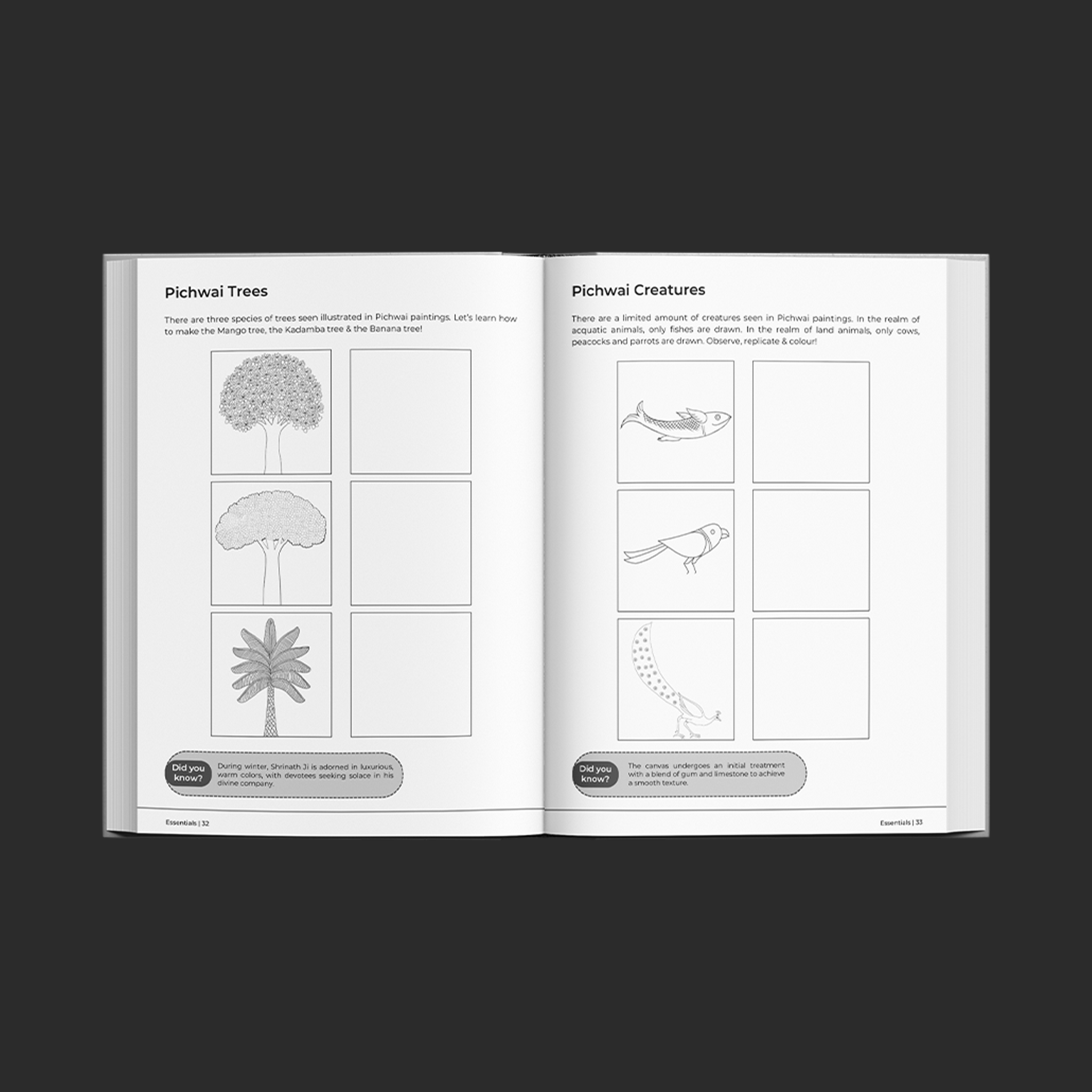 Artventures of Pichwai - Essentials