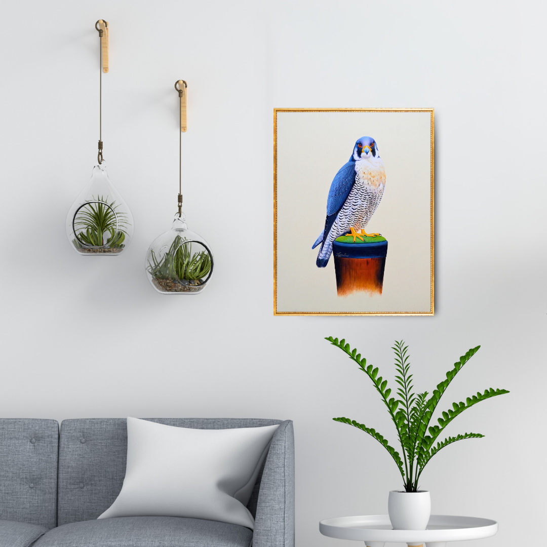 Sovereignty: Falcon Folio 1