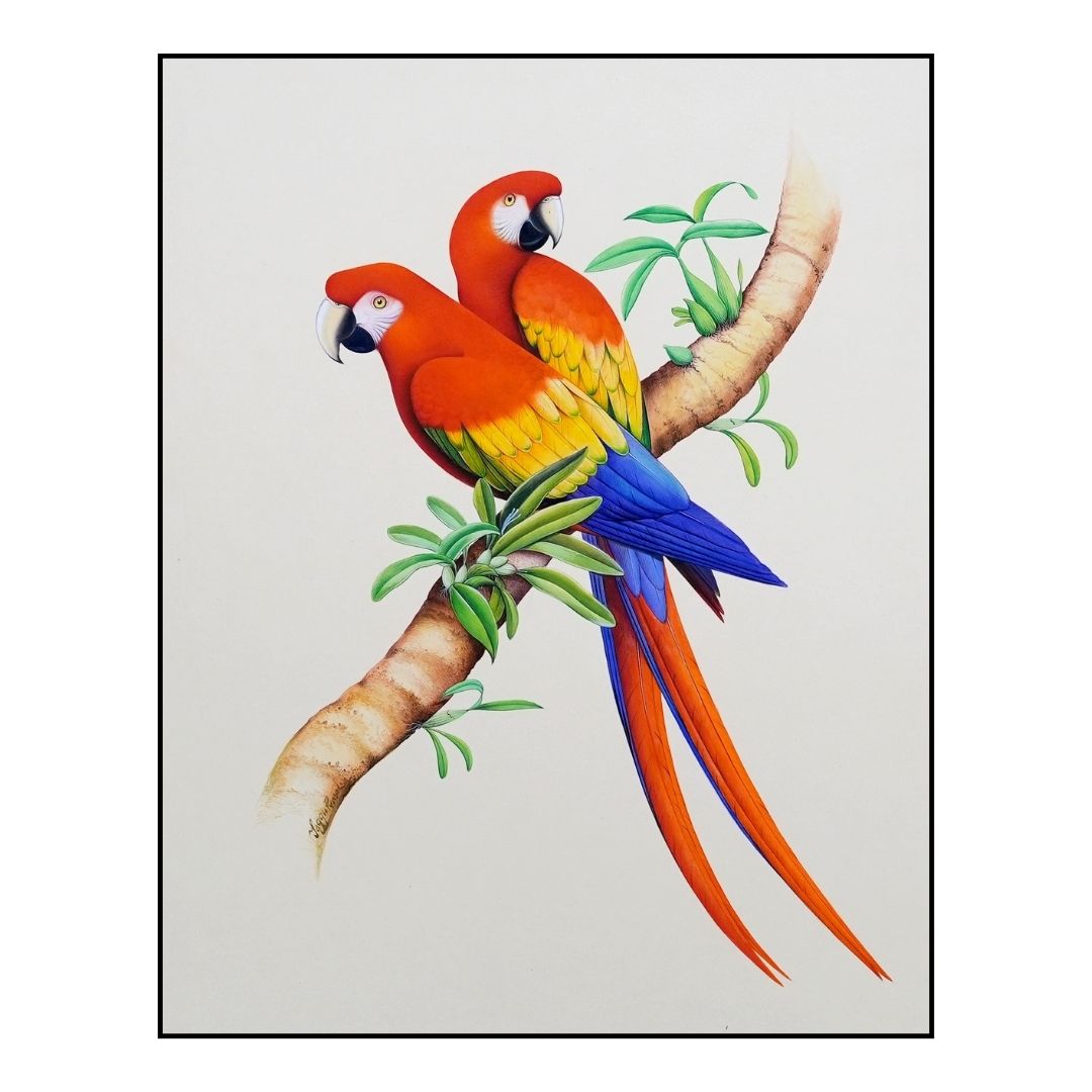 Casual Companionship