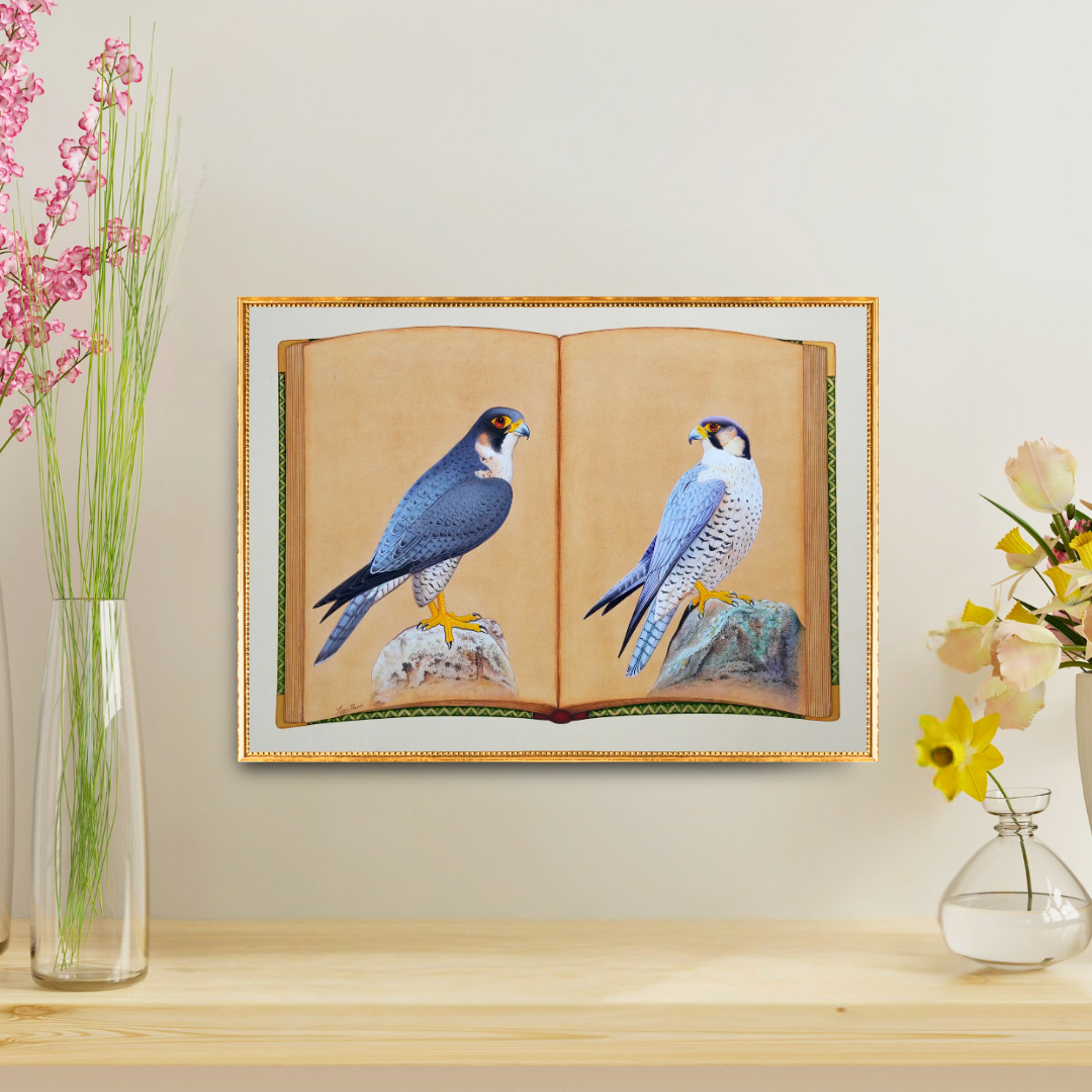 Falcon Folio - Edition 2 Product Image