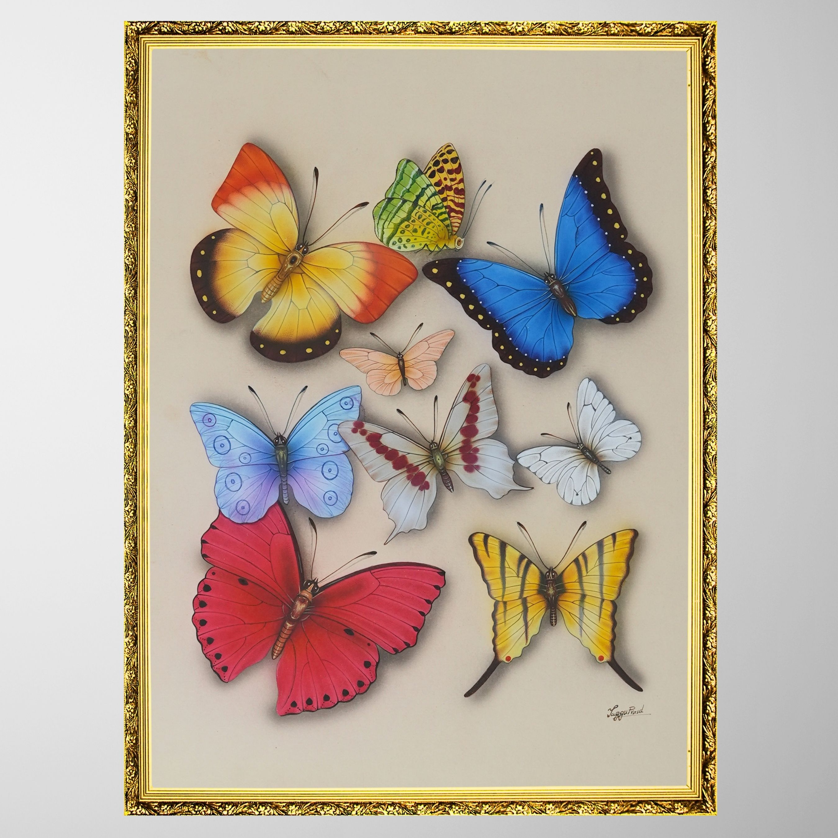 Melody of Wings