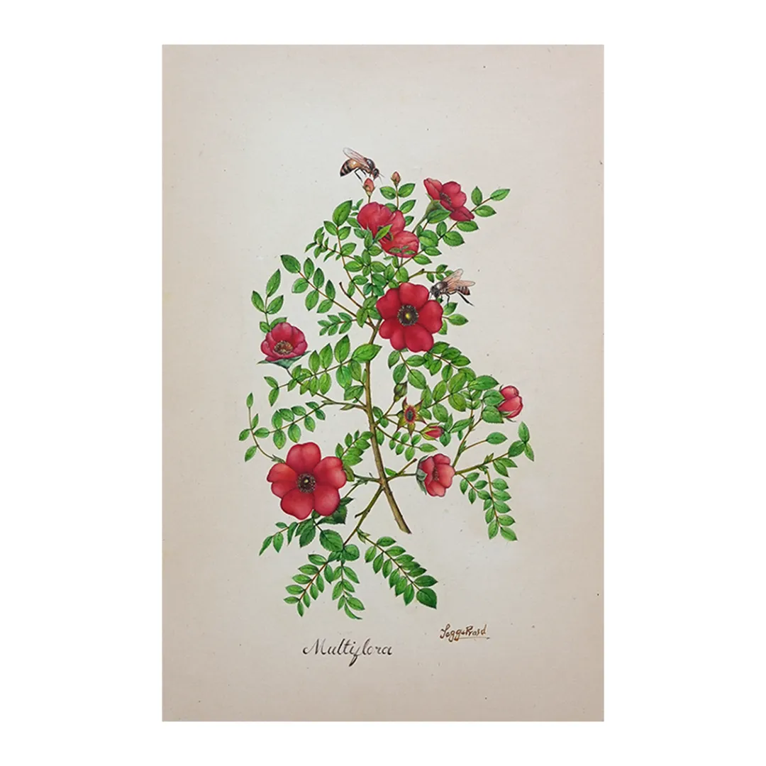 Crimson Bloom Cascade