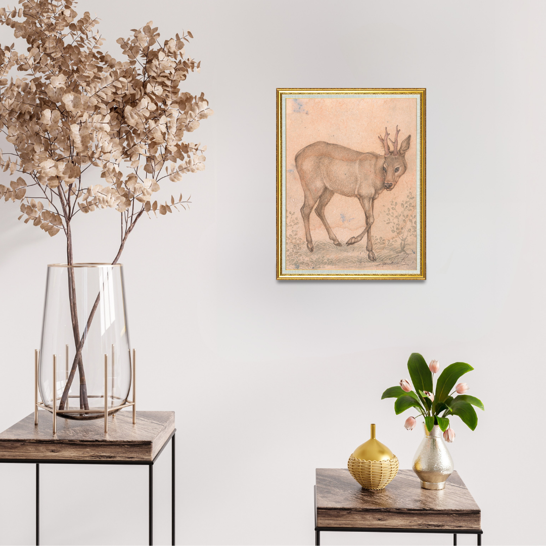 Quiet Turn of the Young Stag