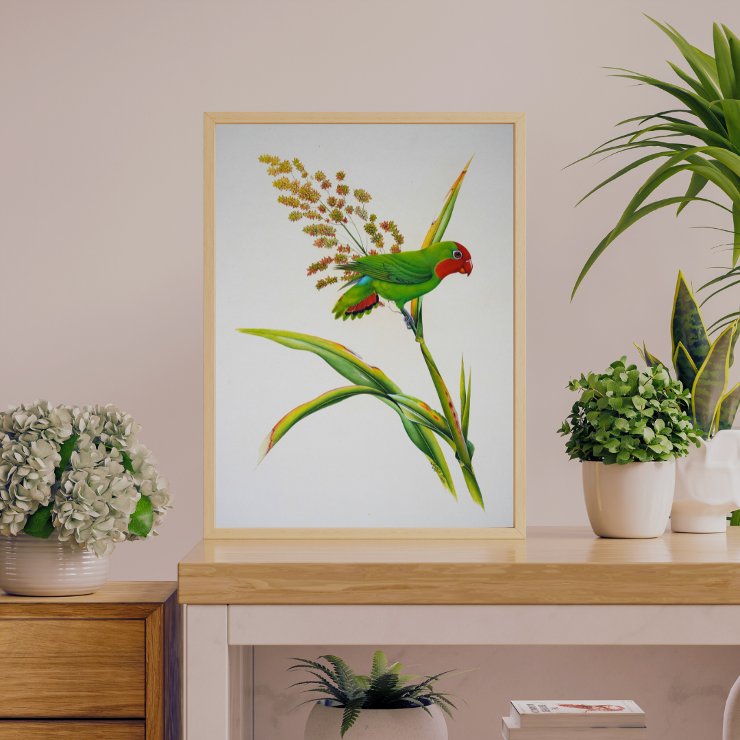 Green Parakeet by Jaggu Prasad