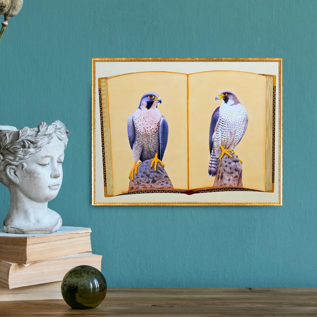 Falcon Folio - Edition 3
