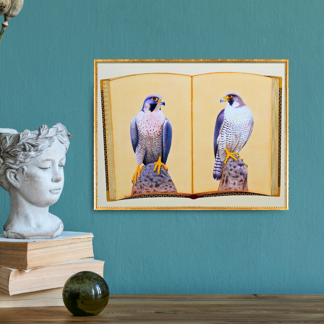 Falcon Folio - Edition 3