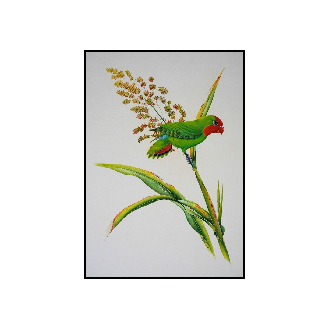 Green Parakeet by Jaggu Prasad