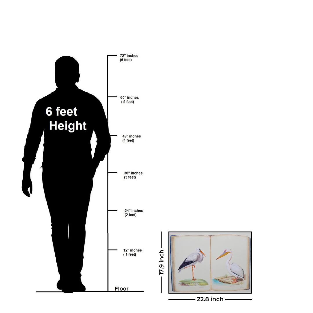 Tales by the Water’s Edge