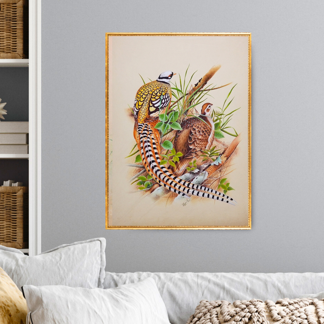 The Poetry of Plumage