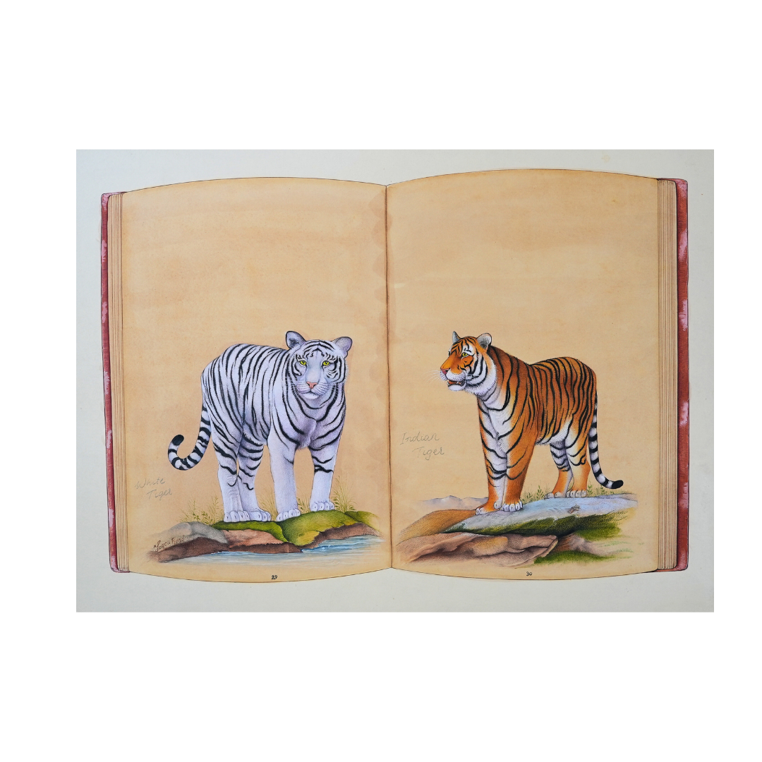 Botanical Compendium 