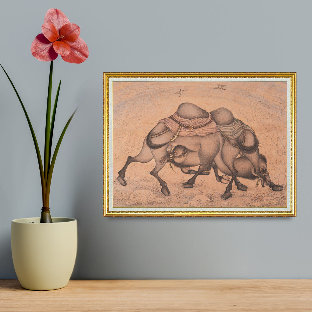 Tangle of the Restless Camels