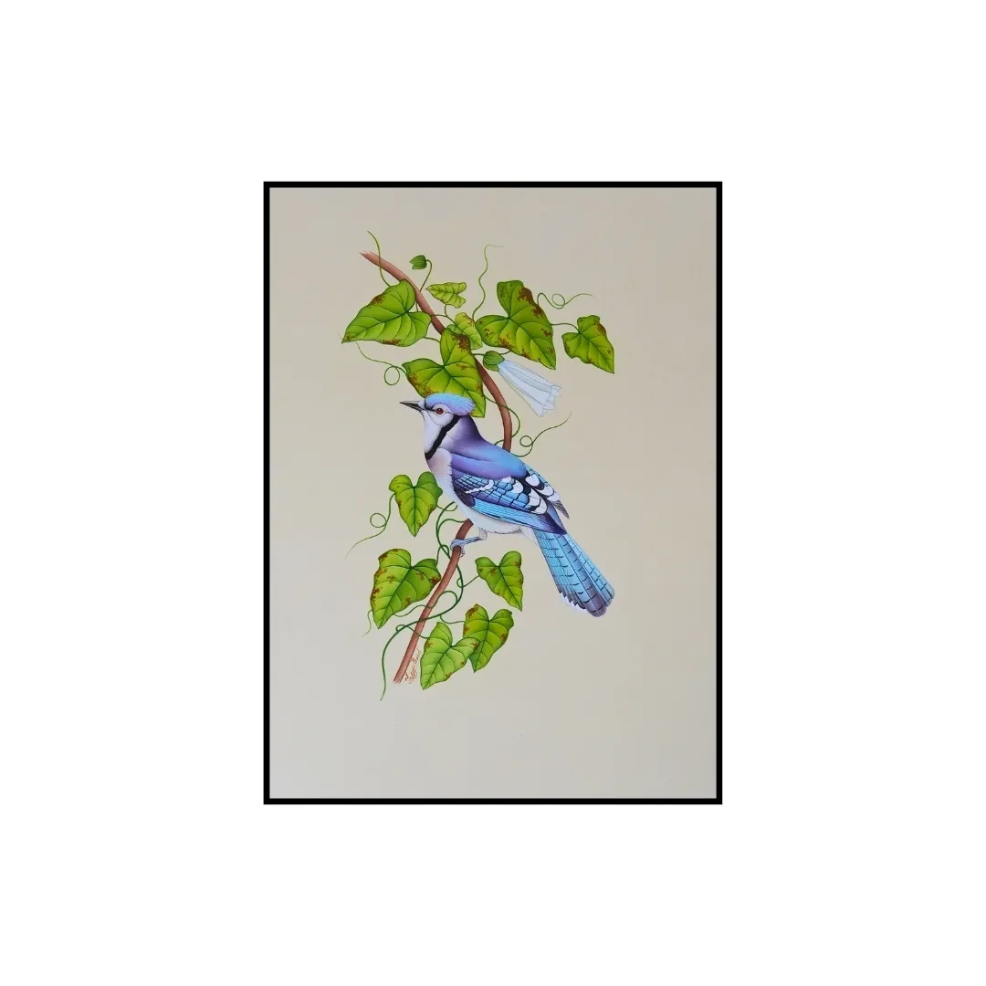 Vine Jay by Jaggu Prasad