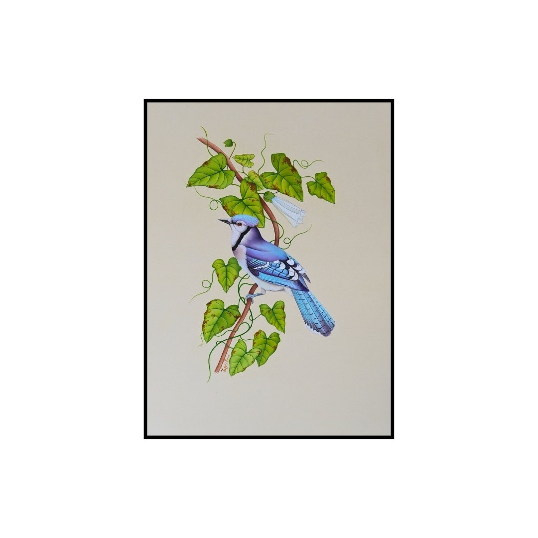 Vine Jay by Jaggu Prasad