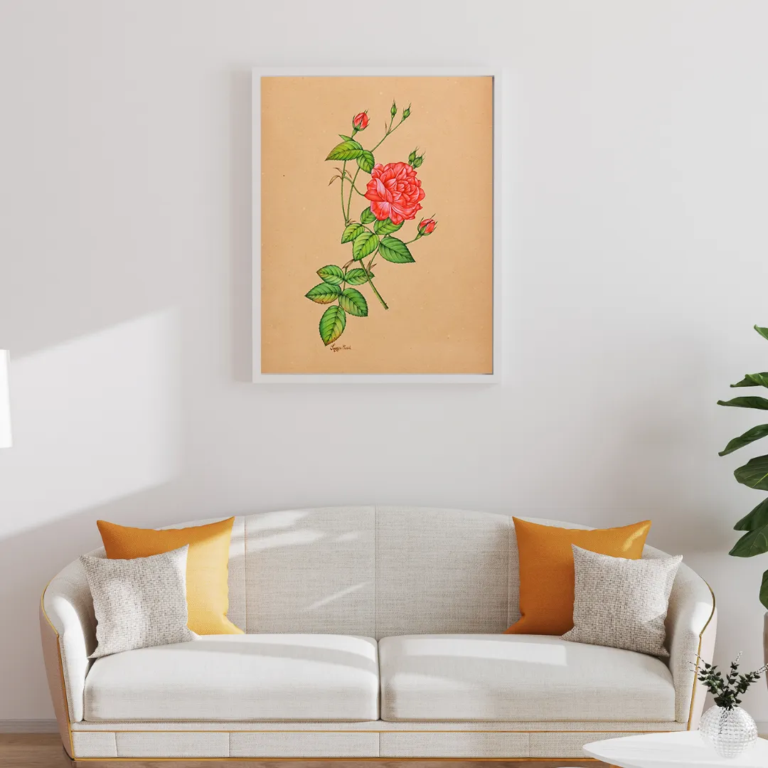 Red Garden Rose Study