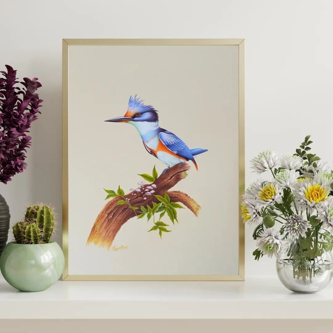 Kingfisher Perch Study