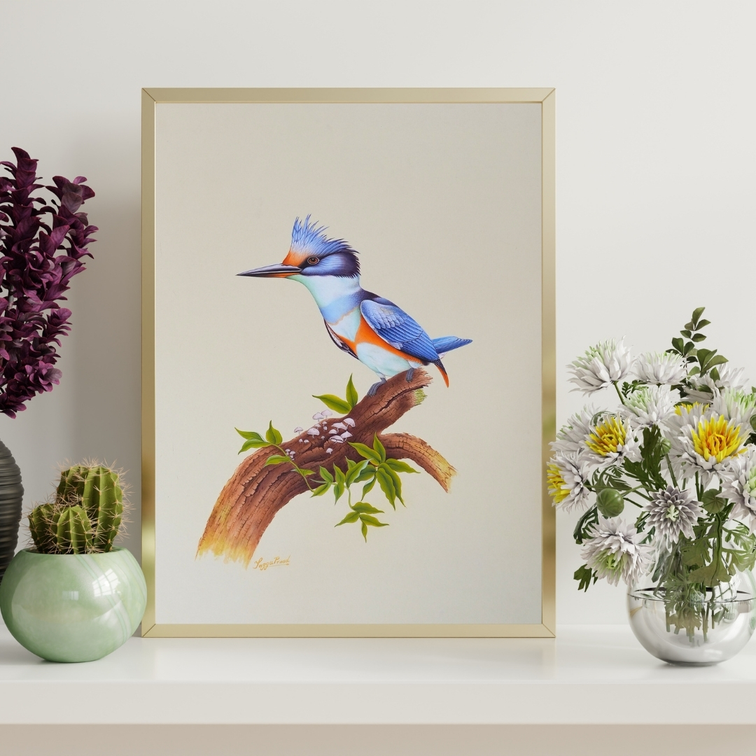 Kingfisher Perch Study