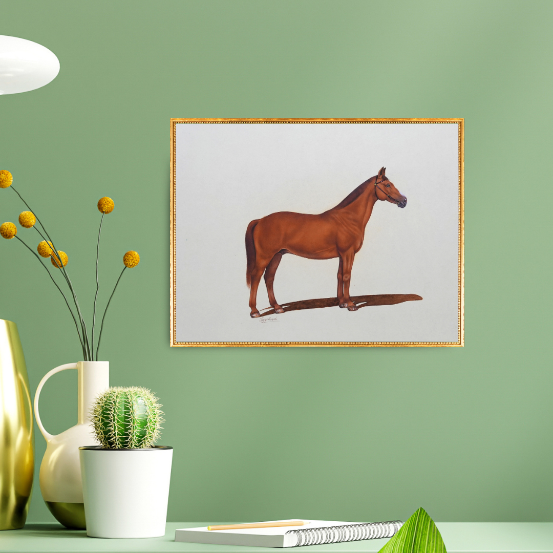 The Brown Silhouette