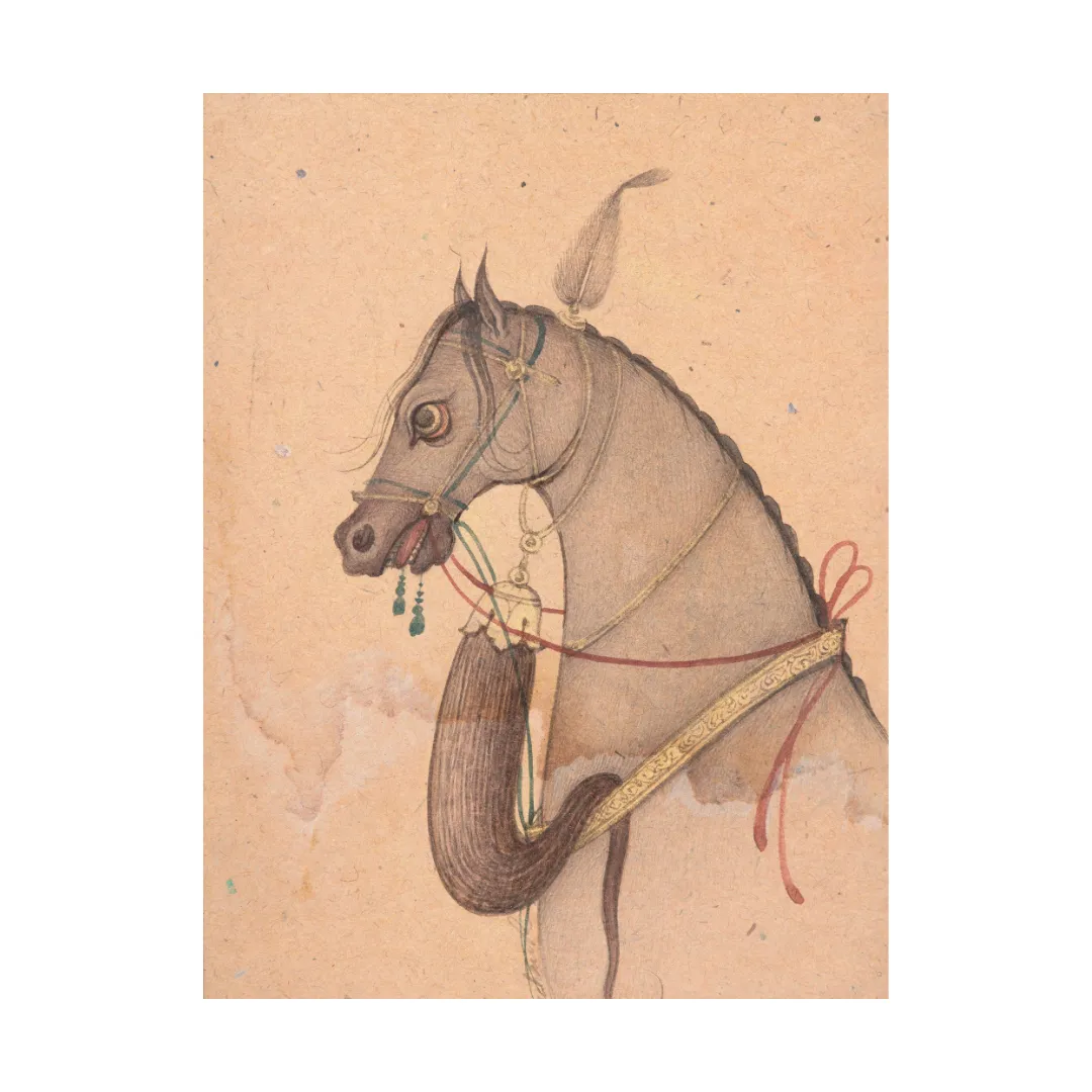 Profile of the Grey Steed