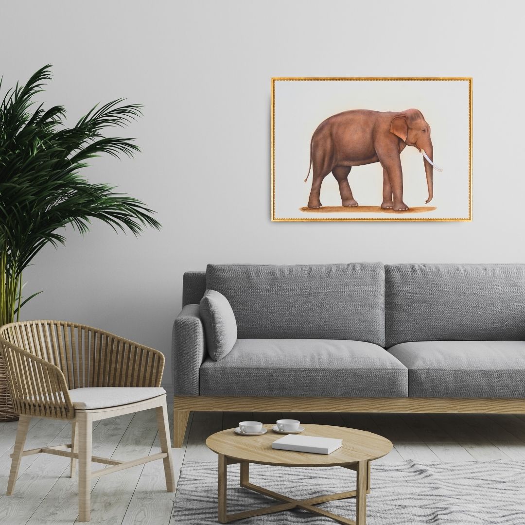 Majestic Walk  Product Image