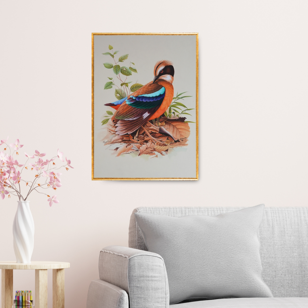 Solitaire in Colour Product Image