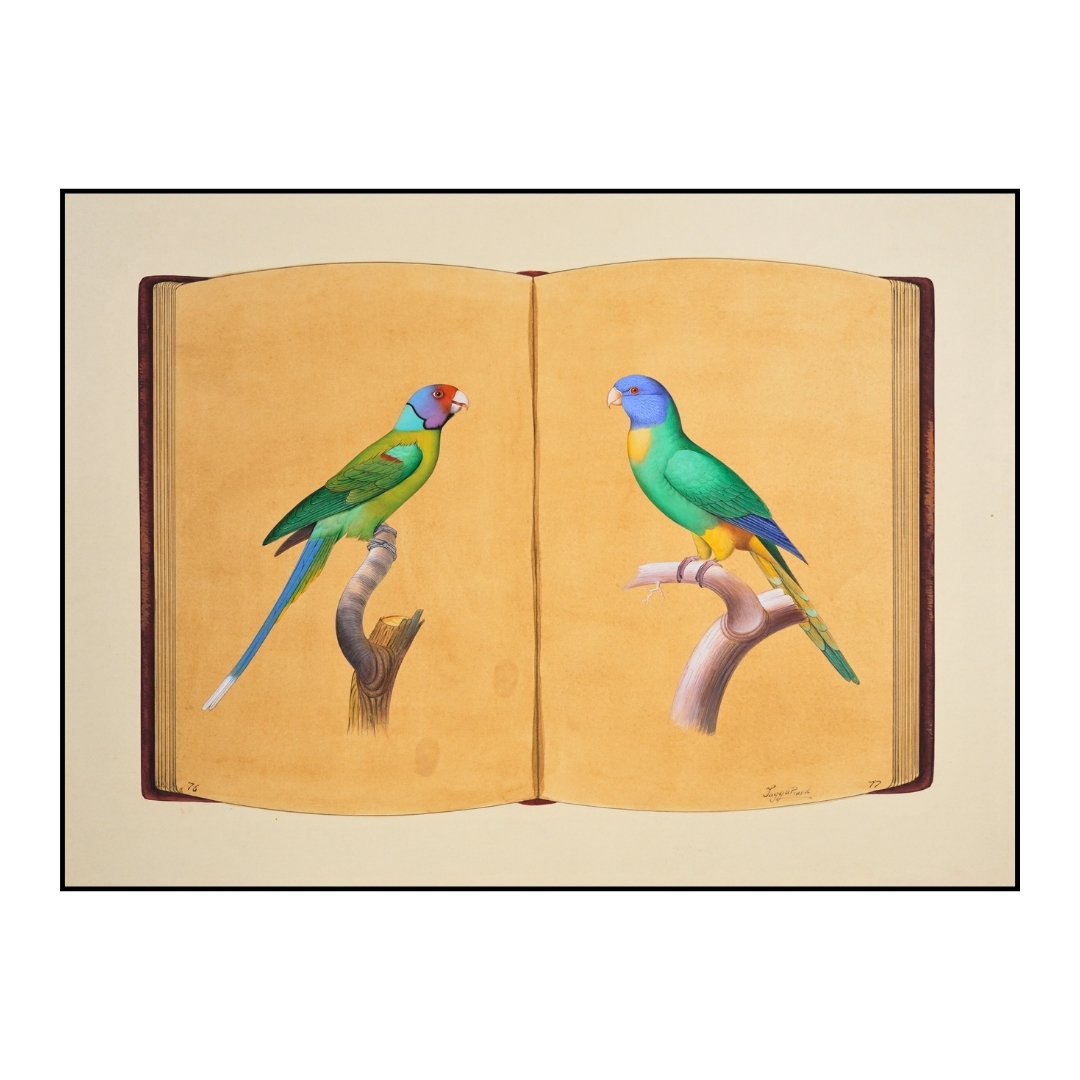 Reflections in Green