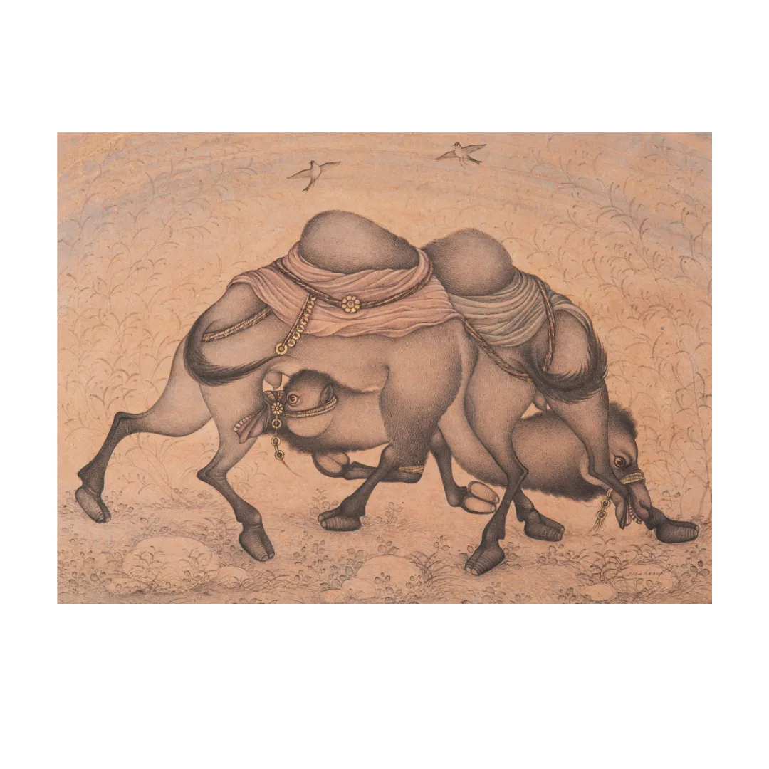 Tangle of the Restless Camels
