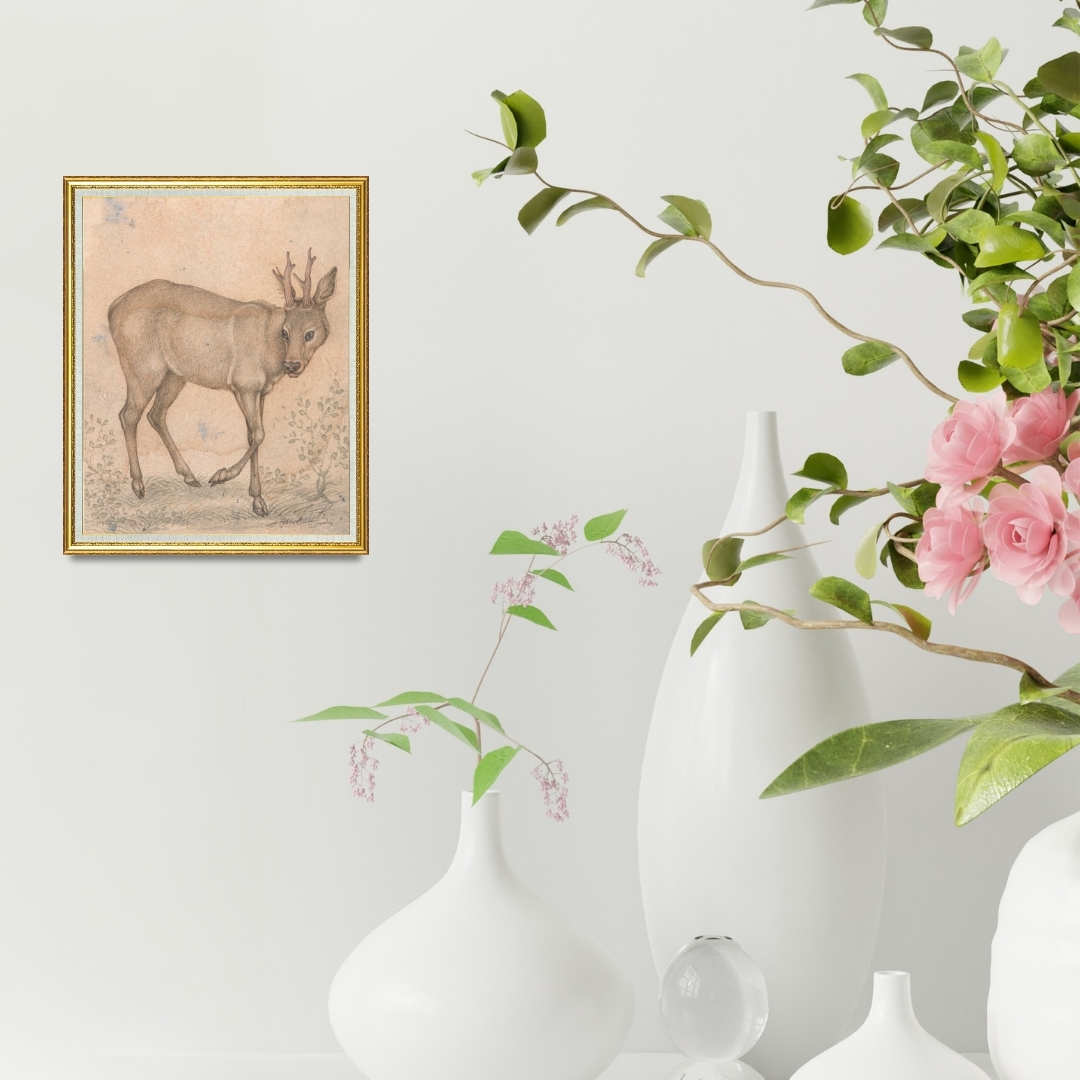 Quiet Steps of the Young Stag