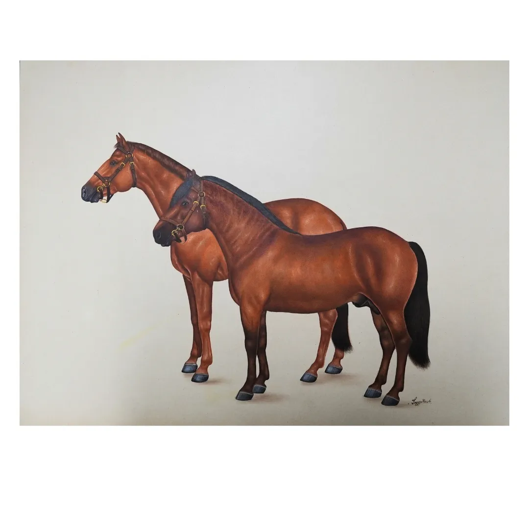 Equine Grace 