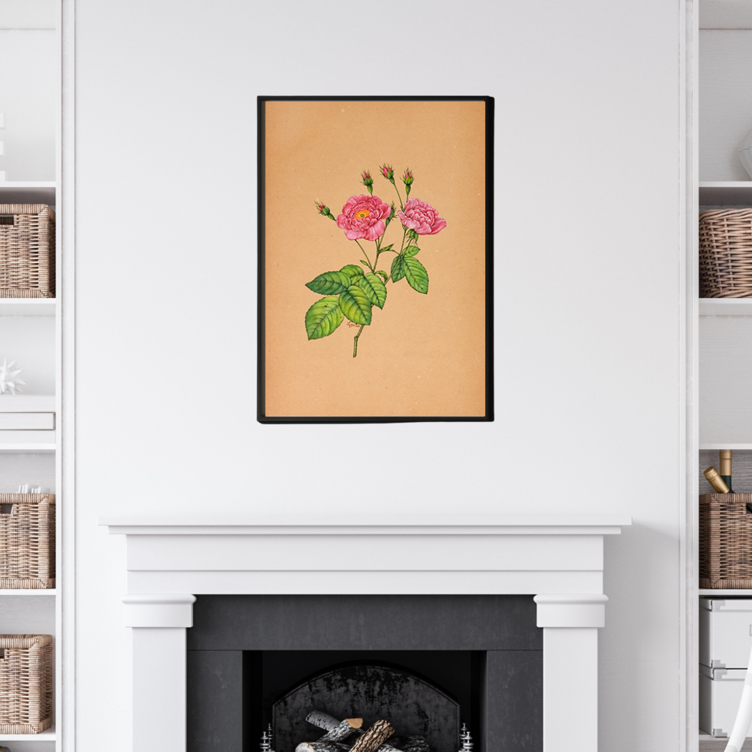 Botanicals 28 Product Image