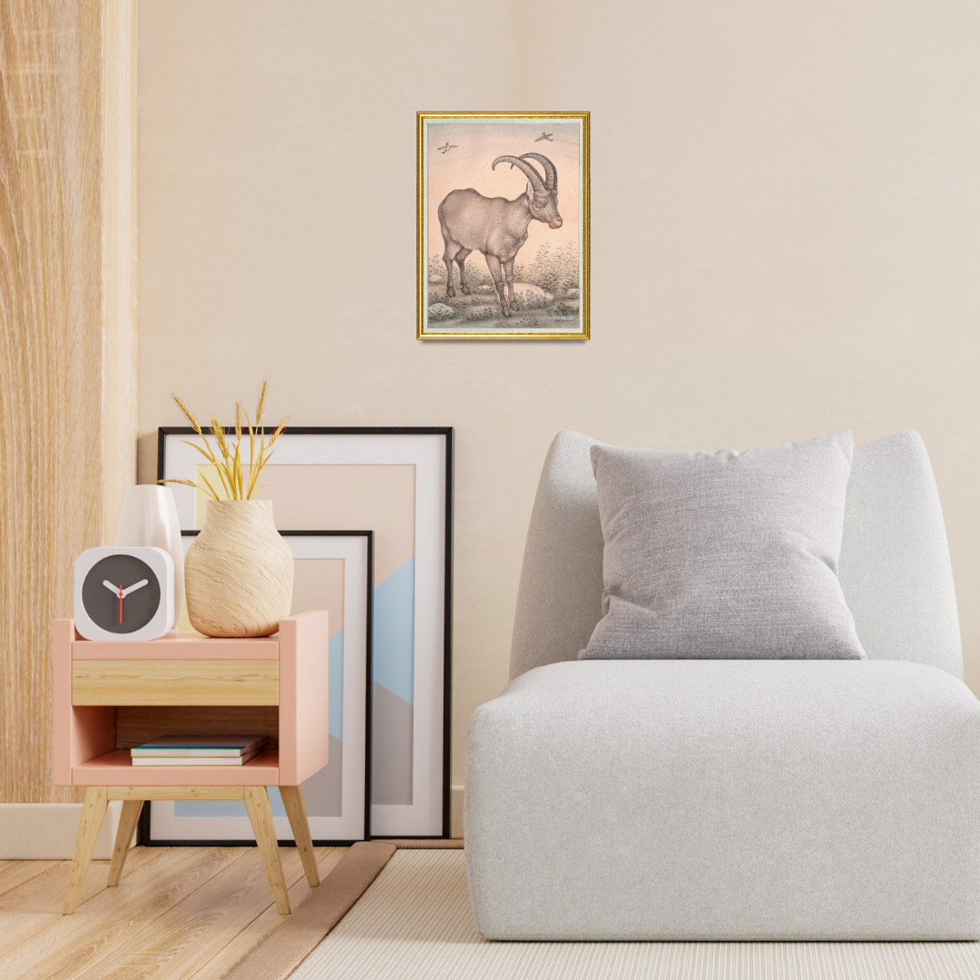 Still Presence of the Highland Wild Goat