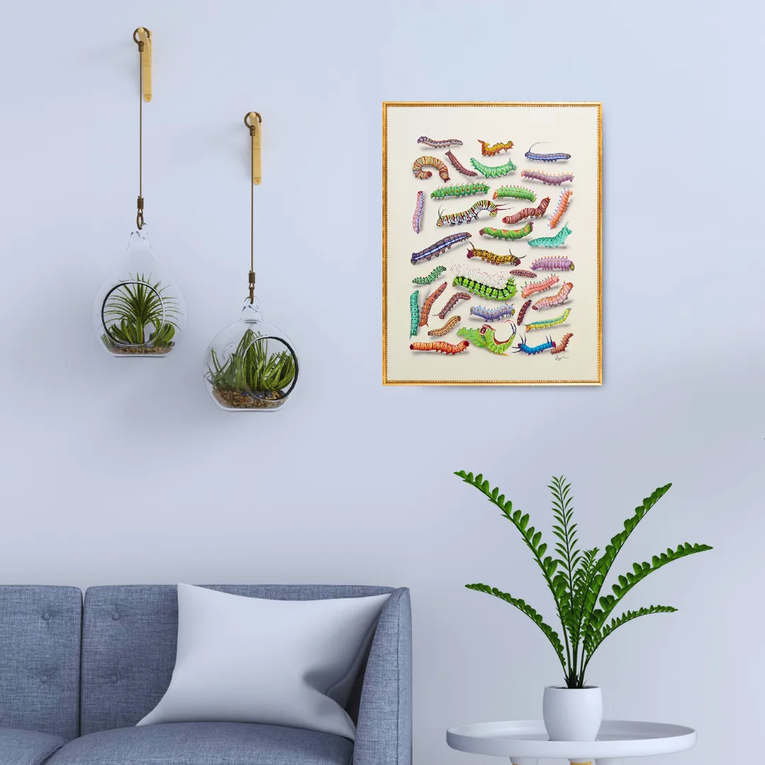 Symphony of Forms