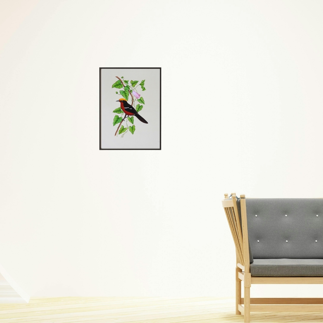 Crimson Crest by Jaggu Prasad