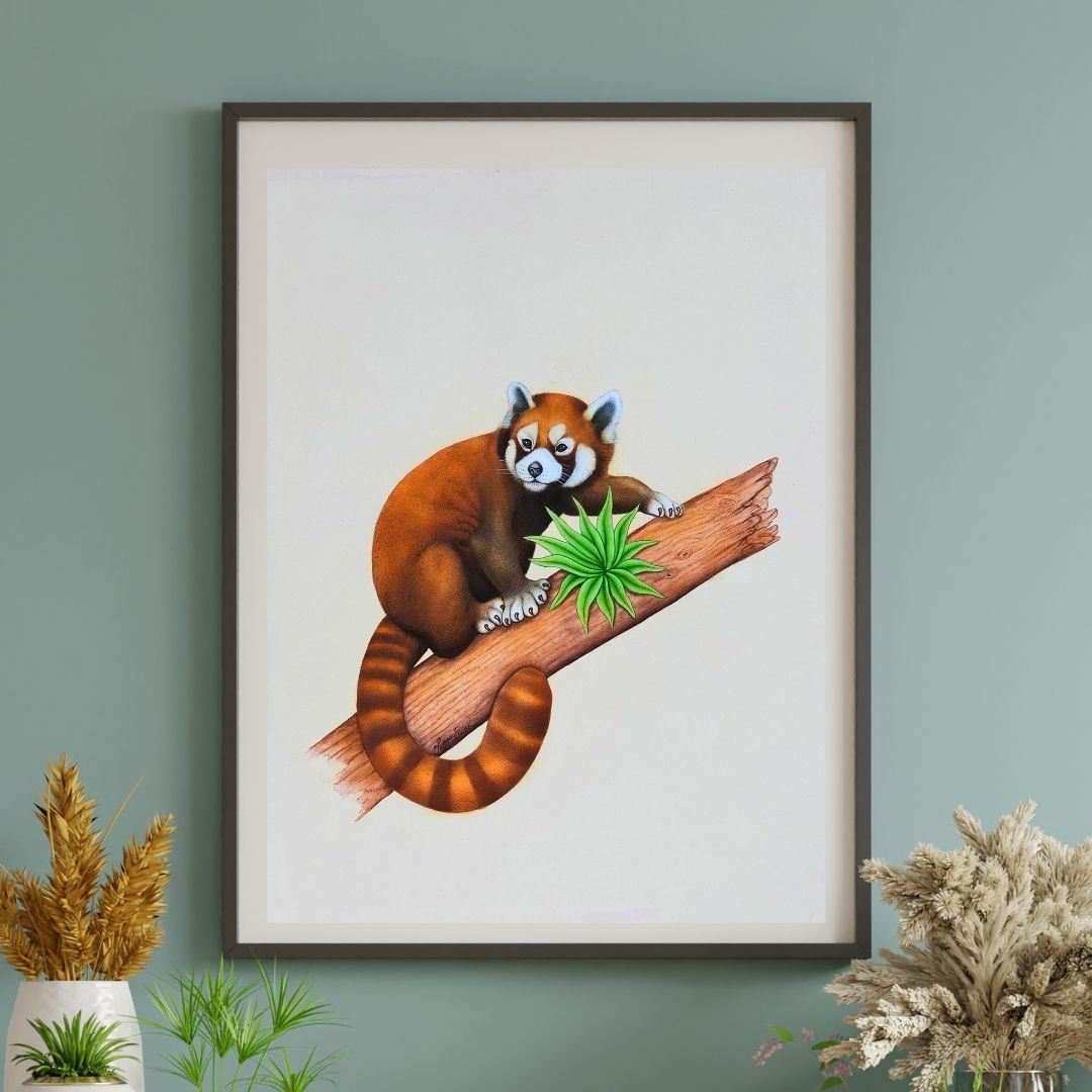 Crimson Calm  Product Image