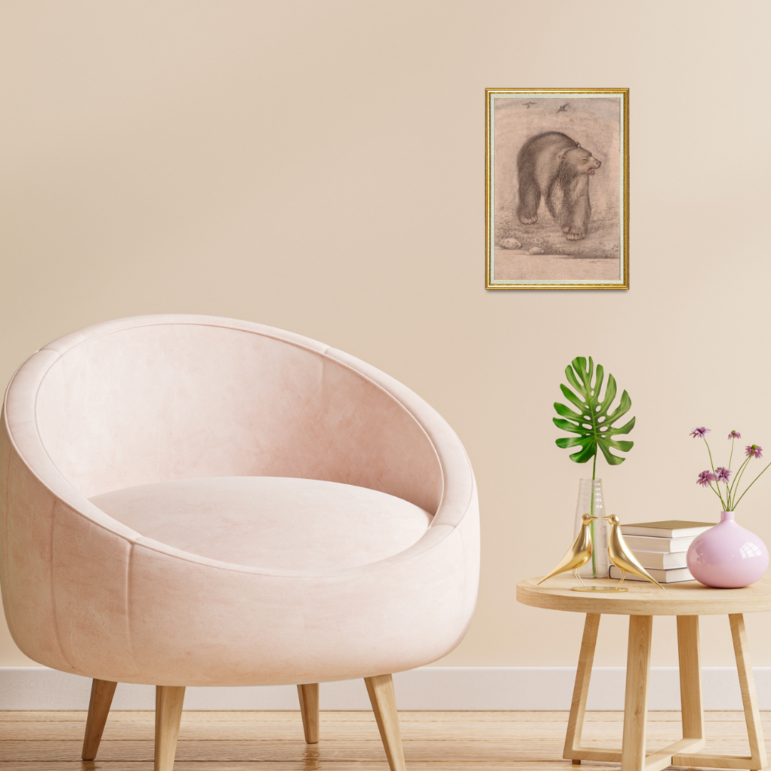 Quiet Roam of the Forest Bear