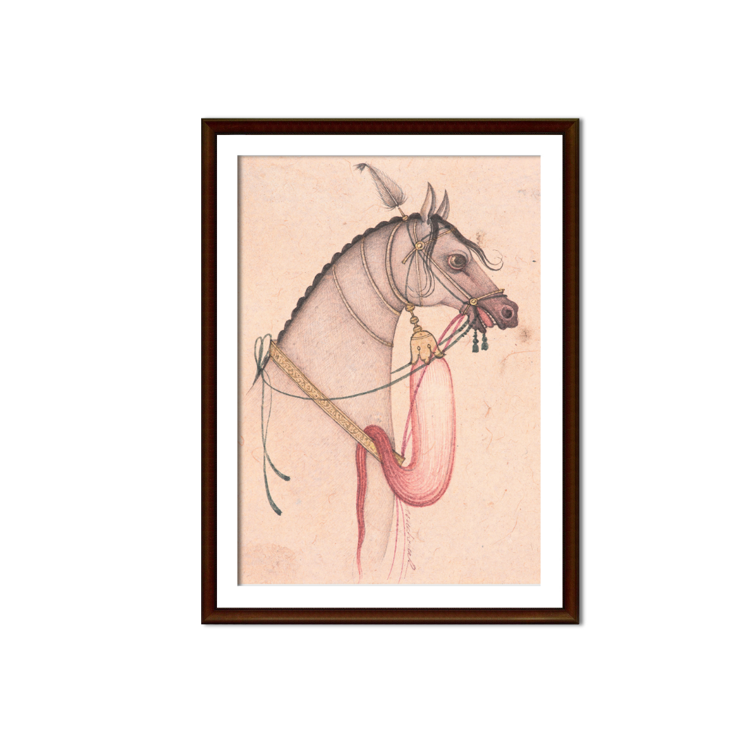 Elegance of the White Bridled Horse