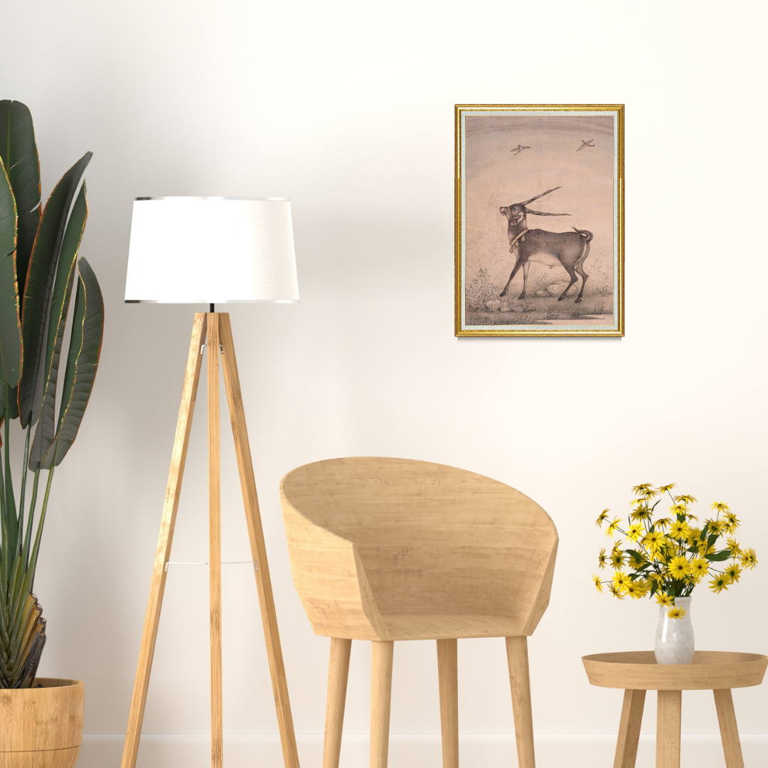 Graceful Step of the Blackbuck