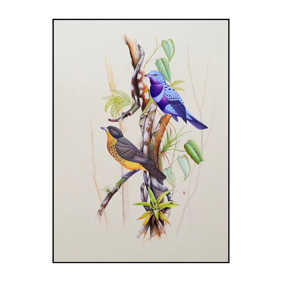The Painted Pair