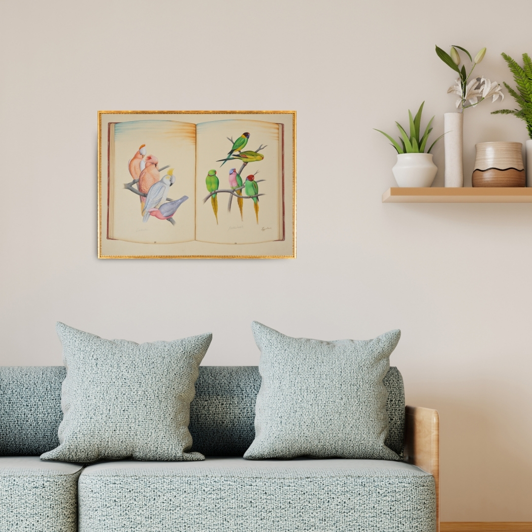 Conversations in Colour