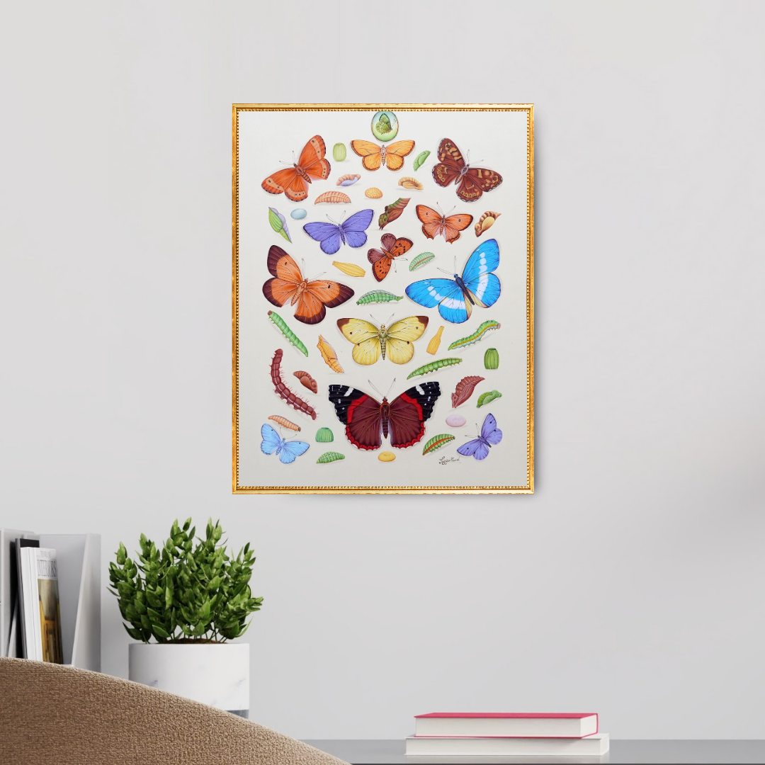 The Spring’s Flight