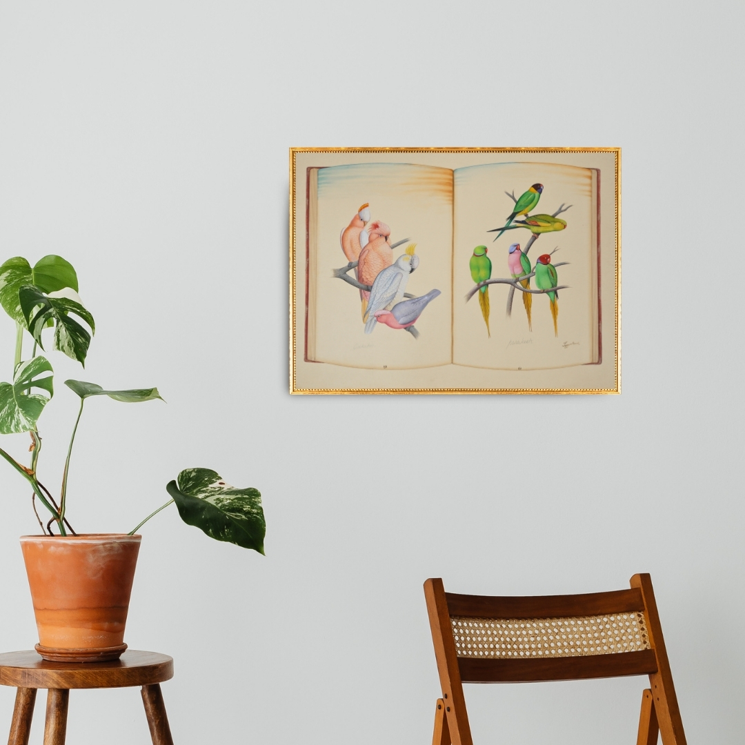 Conversations in Colour