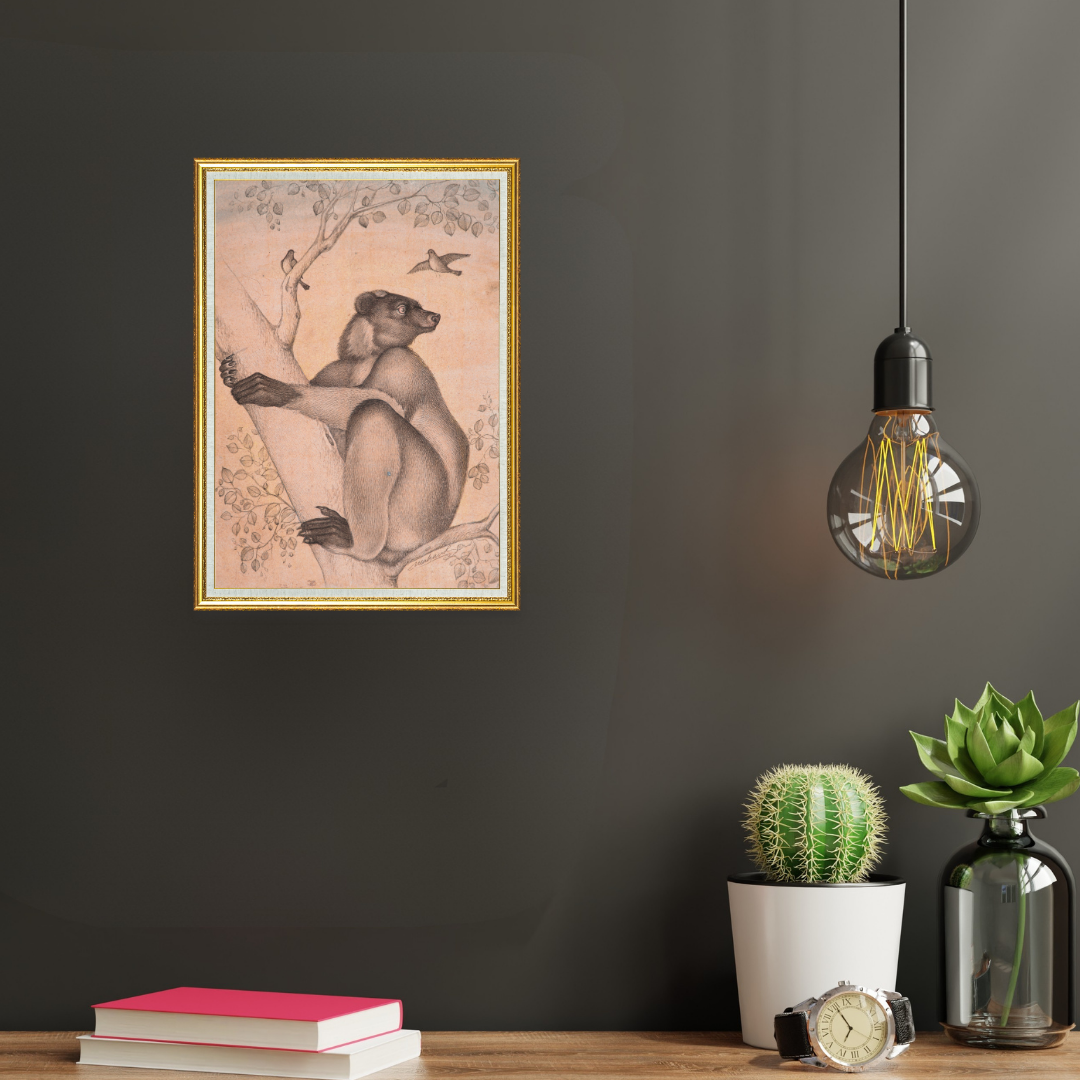 Watchful Climb of the Forest Bear