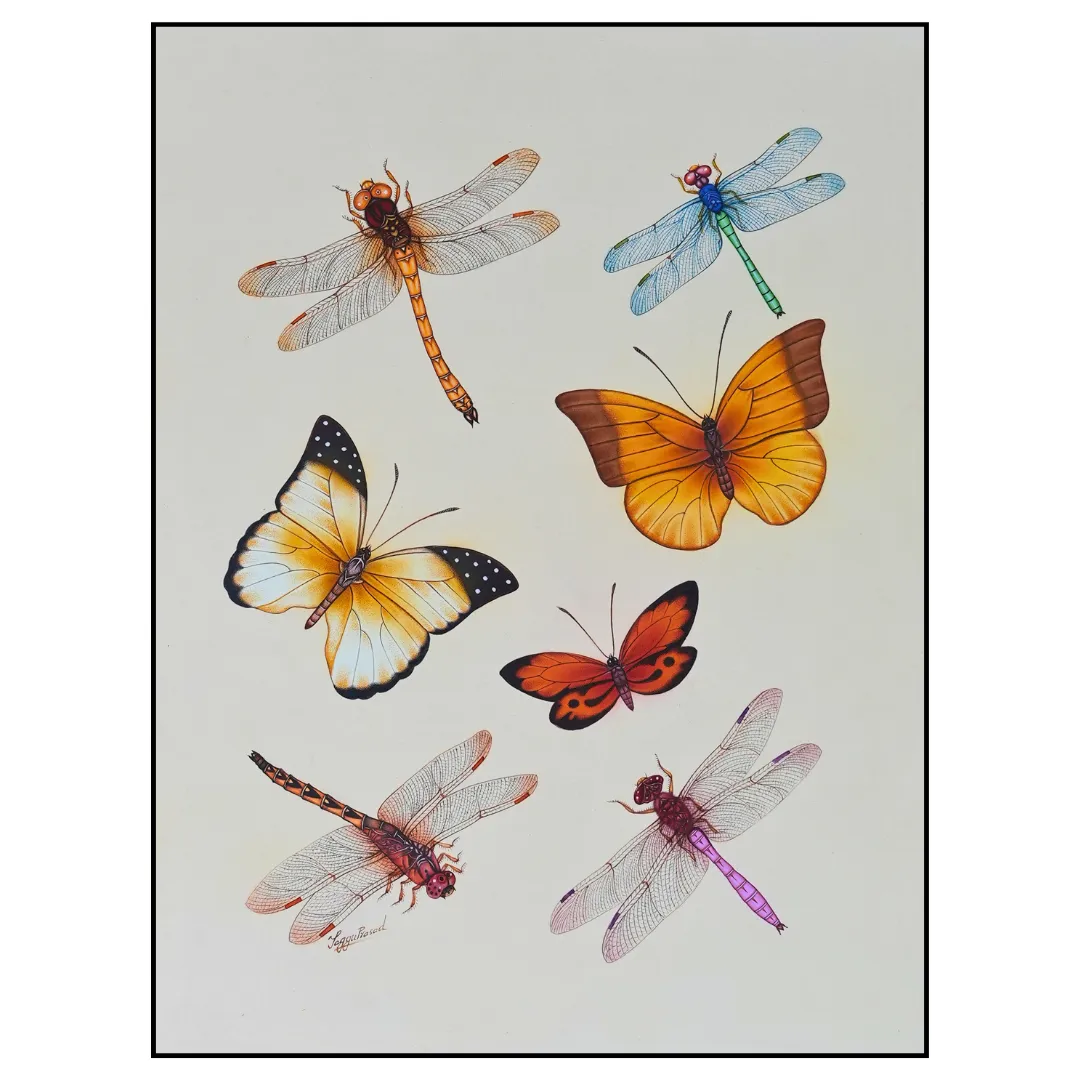 Dance of Wings