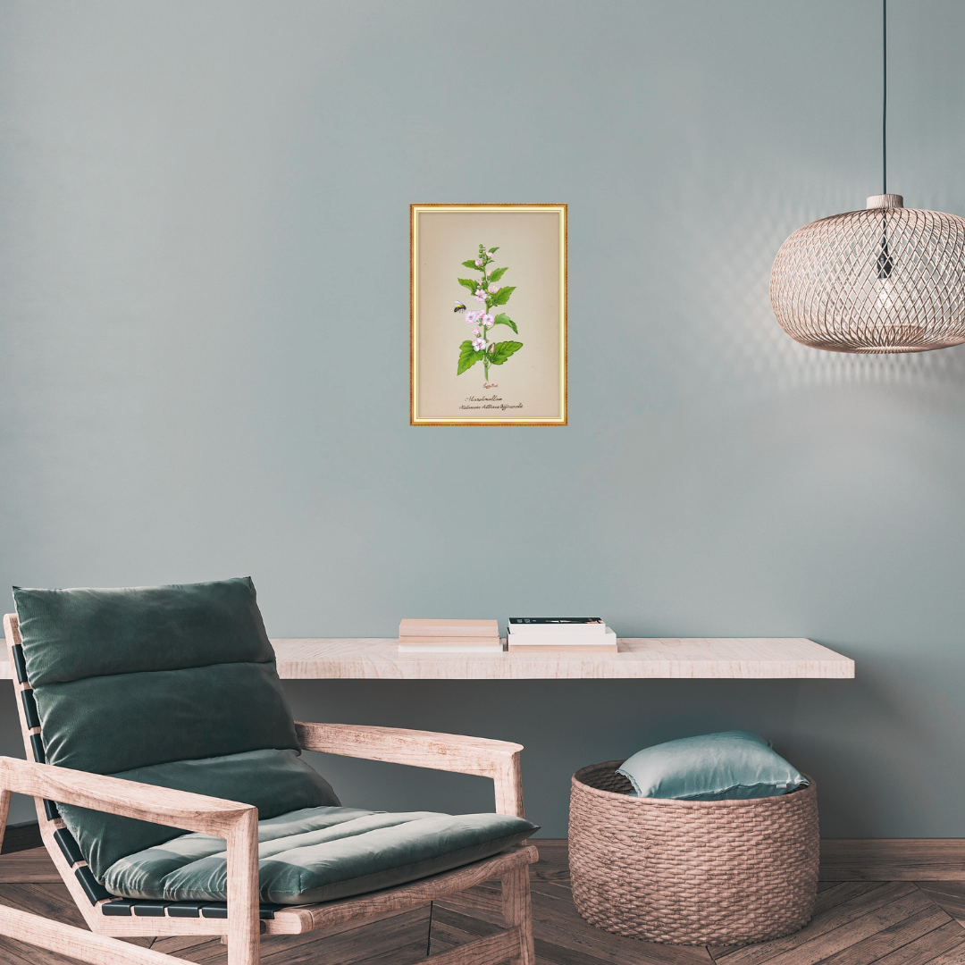 Marshmallow Stemscape