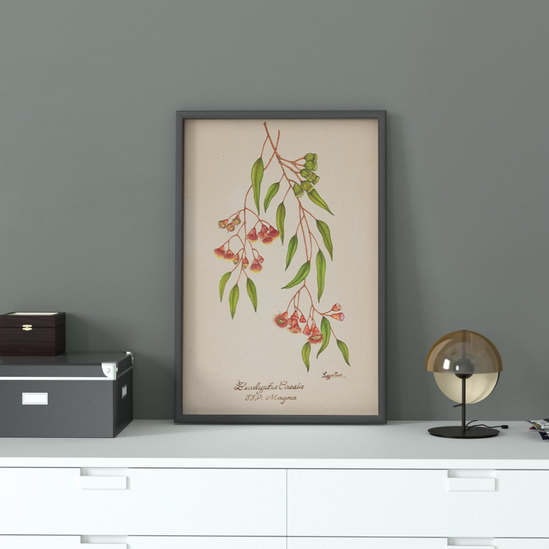 Botanicals 22 Product Image