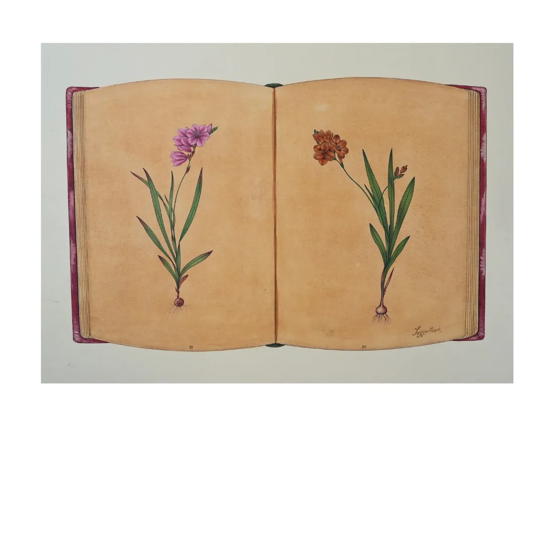 Botanical Ledgers 