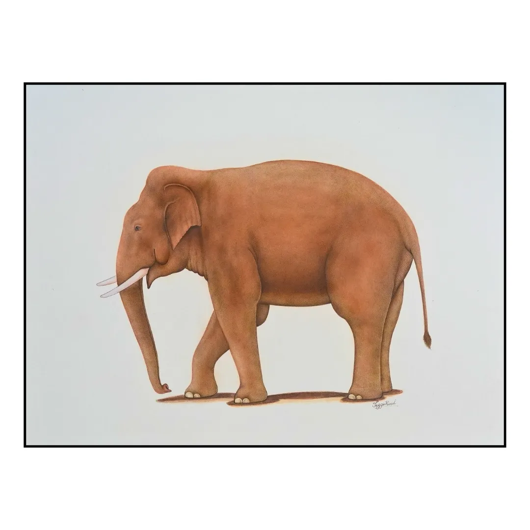 Gentle Giant 