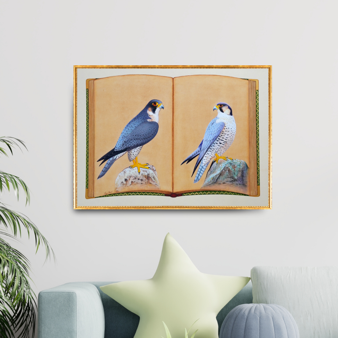 Falcon Folio - Edition 2