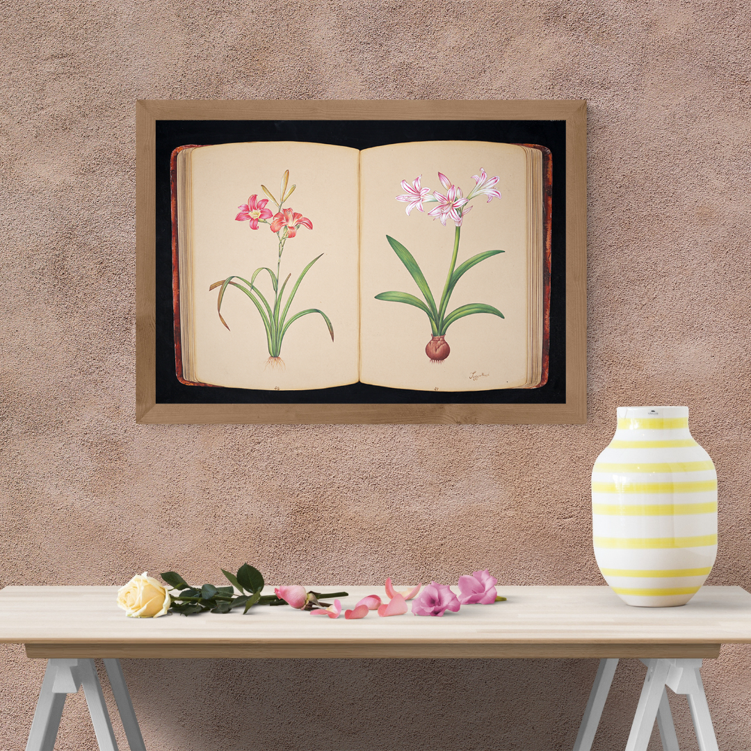 Blooming Memoir Product Image